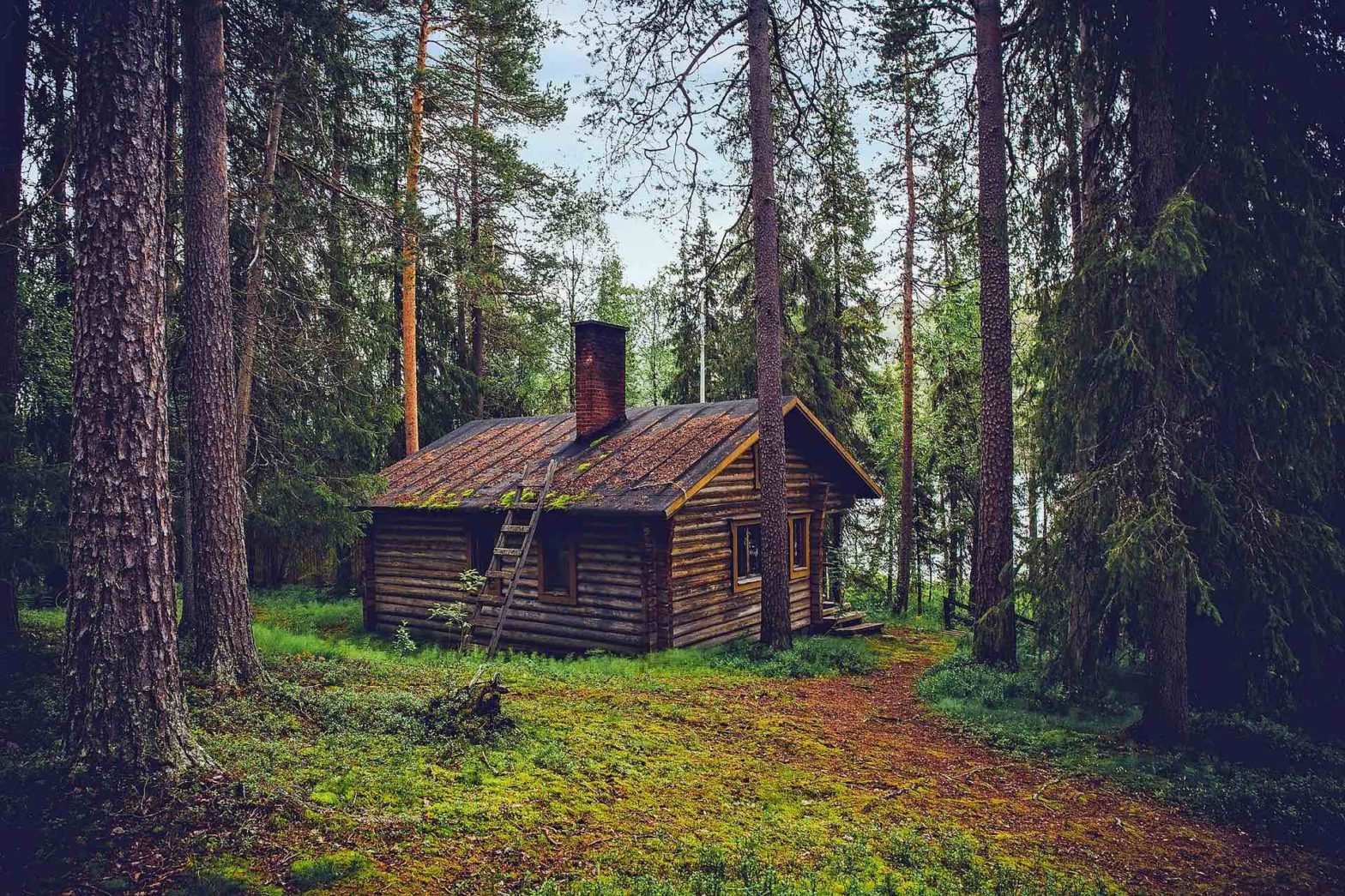 Log Cabin Vacation Rental